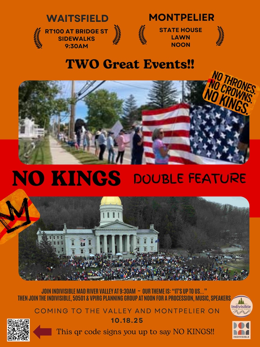 IMRV No Kings flyer 12x16.jpg